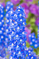 Similar image 19192854