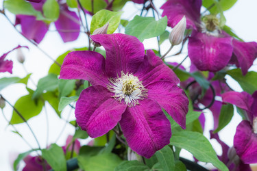 Similar image 19192861