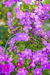 Similar image 19192871