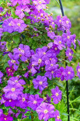 Similar image 19192846