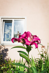 Similar image 19192847