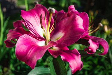 Similar image 19192896