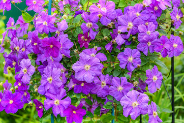 Similar image 19192897