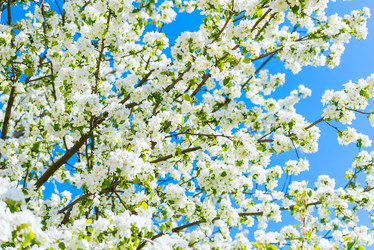 Similar image 19192906