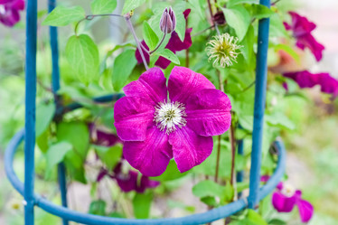 Similar image 19189186