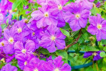 Similar image 19189226