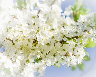 Similar image 19189227