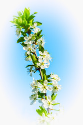 Similar image 19189221