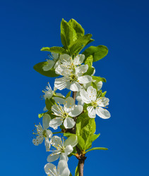 Similar image 19189222