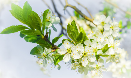 Similar image 19189241