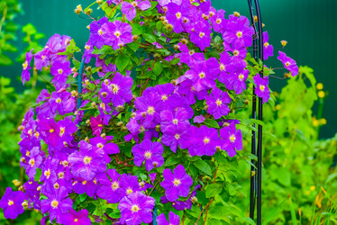 Similar image 19189261