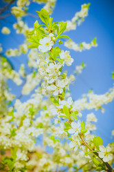 Similar image 19189262