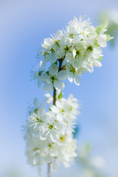 Similar image 19189280