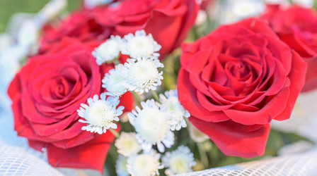 Similar image 19189281