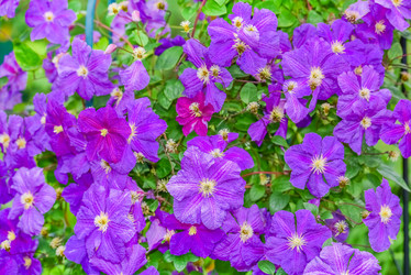 Similar image 19189321