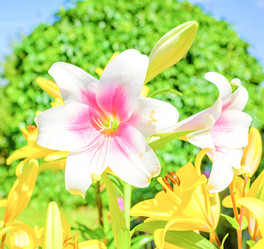 Similar image 19189357