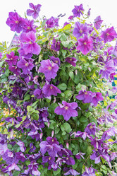 Similar image 19189358