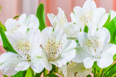 Similar image 19189363