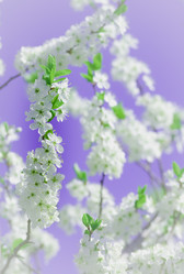 Similar image 19189355