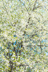 Similar image 19189420