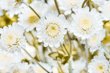 Similar image 19189425