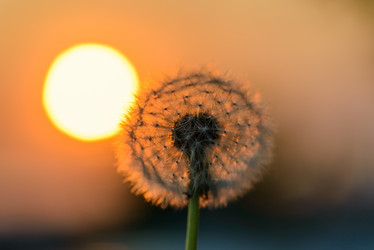 Similar image 19189412