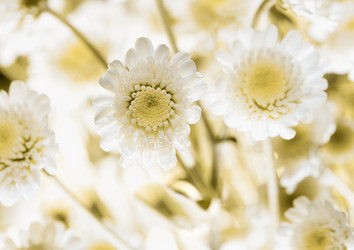 Similar image 19189419