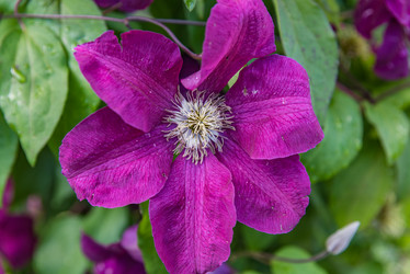 Similar image 19189446