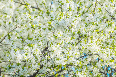 Similar image 19189479