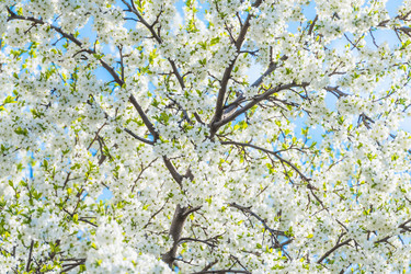 Similar image 19189496