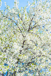 Similar image 19189499