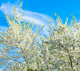 Similar image 19189498