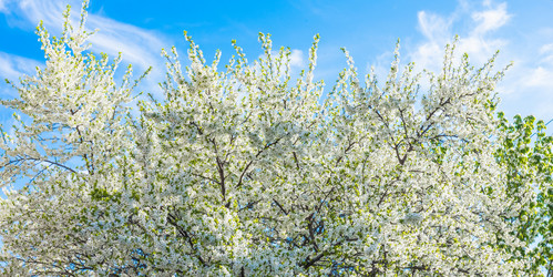 Similar image 19189501