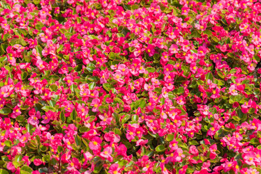 Similar image 19189526