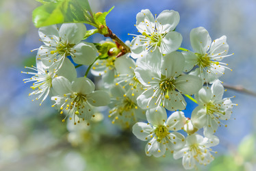 Similar image 19189545