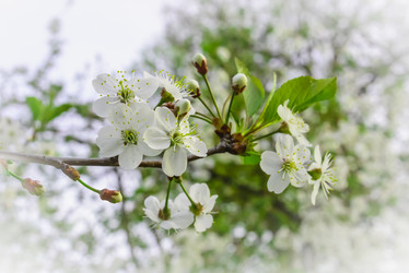 Similar image 19189584