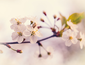 Similar image 19189585