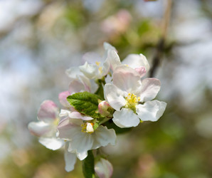 Similar image 19192022