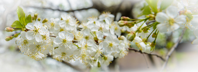 Similar image 19192024