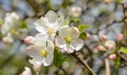 Similar image 19192094