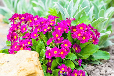 Similar image 19192081