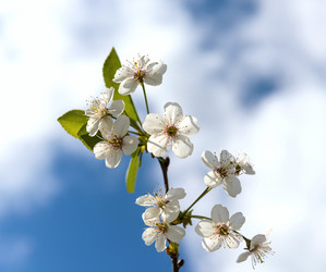 Similar image 19192082