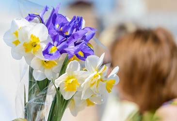 Similar image 19192130