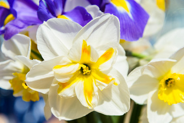 Similar image 19192126