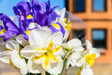 Similar image 19192127