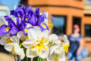 Similar image 19192156