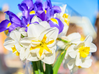 Similar image 19192165