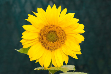 Similar image 19192184