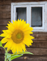 Similar image 19192204