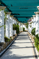 Similar image 19192216